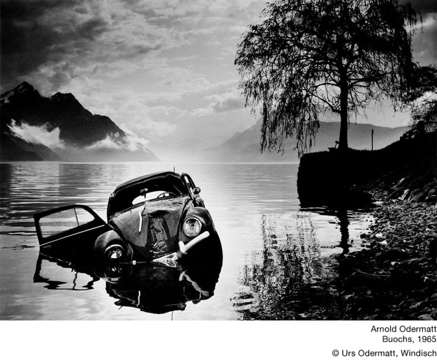 Arnold Odermatt: Buochs, 1965, Käfer im See, Beetle in Lake